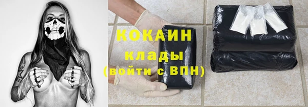 крисы Алзамай