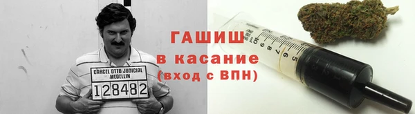 крисы Алзамай
