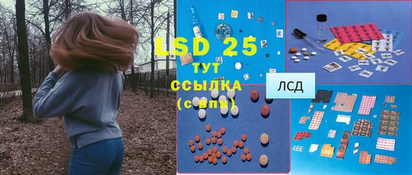 крисы Алзамай