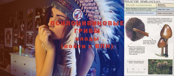 винт Алексеевка
